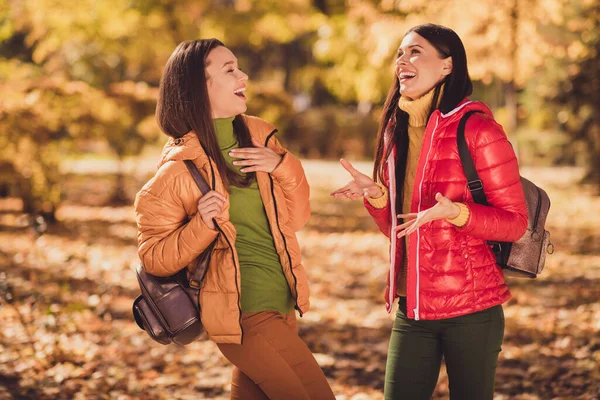 Two best fellows girls have fun in fall sunset forest park rest relax say tell students millennial jokes laughing hold backpack bag wear outerwear jackets