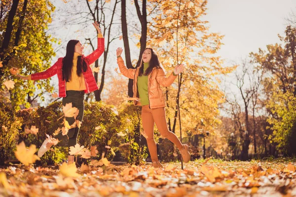 Celotělová fotka pozitivních veselých dvou lidí dívky kamarádi těšit západ slunce podzim park dovolená víkend tanec smích vzduch létat podzim javor listy opotřebení sezóna svrchní oblečení — Stock fotografie