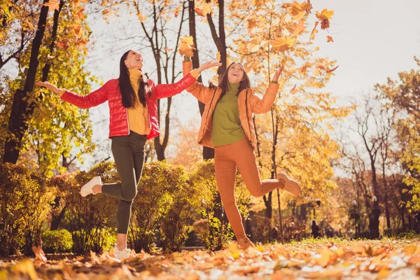 Full length foto di due persone allegre positive ragazze amici godere di riposo relax fine settimana autunno parco gettare cattura aria volare foglie d'acero indossare cappotti di stagione — Foto Stock