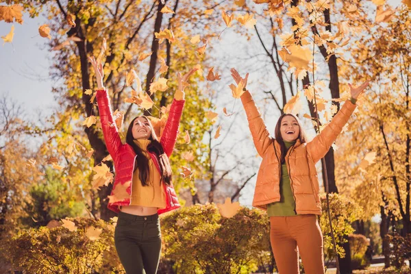 Zdjęcie dwóch pozytywnych wesoły dwie osoby dziewczyny cieszyć się jesienią błogość centrum miasta park weekend rzut złapać klon liście nosić sezon odzież wierzchnia — Zdjęcie stockowe