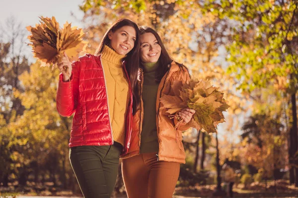 긍정적 인 두 소녀 친구의 사진 가을 공원에서 휴식을 취하는 즐거운 단풍나무 잎 포옹 시즌 겉치레 — 스톡 사진