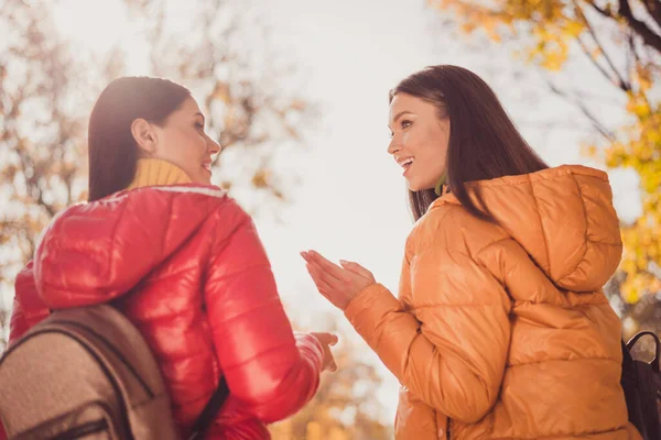 Bakre ryggraden visa foto av två kompisar flickor njuta av promenad i höst gul park berätta säga lyssna fantastiska turister nyheter bära ryggsäck säsong ytterkläder — Stockfoto