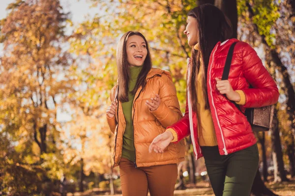 Profil sida foto av positiva två flickor bästa grabbar njuta av vila koppla av höst park promenad gå berätta college nyheter bära ryggsäck säsong outfit — Stockfoto