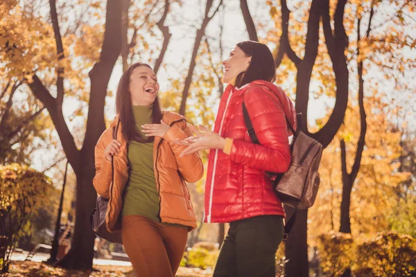 İki kız en iyi arkadaş kırsalda gezer, dinlenir, komik espriler yapar, güler geçeriz sonbahar orman parkında sırt çantası giyeriz. — Stok fotoğraf