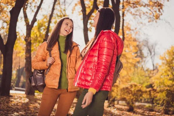 照片上的两个积极的女孩最好的朋友休息放松告诉学生们，大学生新闻抱着背包在黄色的秋天公园里穿着鲜艳的外套 — 图库照片