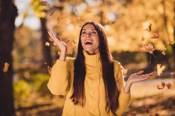 Фото здивованої дівчини насолоджуються киданням повітряної мухи падають кленові листя в центрі міста паркові ліси зовні в'язаний пуловер — стокове фото
