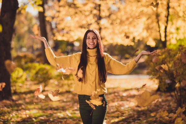 Фото позитивной веселой девушки есть осенний парк лесной релаксации на открытом воздухе поймать бросать оранжевые кленовые листья носить пуловер — стоковое фото