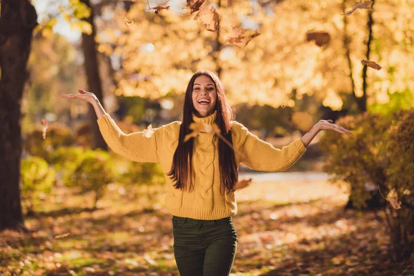 Zdjęcie pozytywnej wesołej dziewczyny mają jesienny wypoczynek relaks cieszyć rzut złapać powietrze upadek mucha klon liście na zewnątrz nosić dzianiny sweter sweter sweter — Zdjęcie stockowe