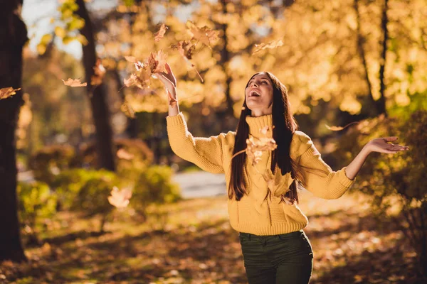Zdjęcie pozytywnej wesołej dziewczyny mają jesień wakacje czas wolny pobyt w parku miejskim na zewnątrz gry rzucać złapać powietrza upadek mucha klon liście nosić pullover — Zdjęcie stockowe