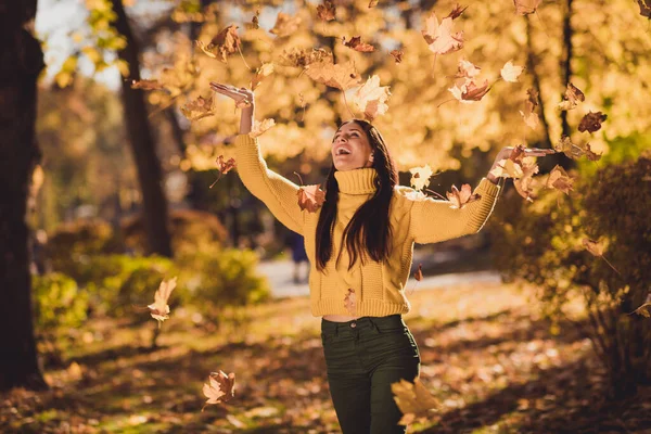 阳光明媚的秋日是最好的休息选择.积极的女孩想象她的孩子在市中心的树林里抛掷落叶枫黄树叶，穿着针织套头毛衣在户外公园里 — 图库照片