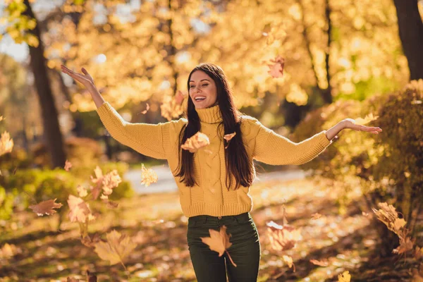 Zdjęcie pozytywnej wesołej dziewczyny mają jesień weekend wakacje relaks na świeżym powietrzu lasy park catch rzut jesień mucha klon żółty pomarańczowy liście nosić dzianiny pullover — Zdjęcie stockowe