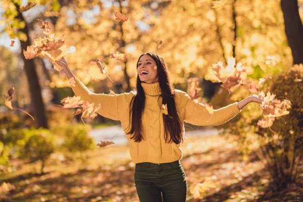 Foto von positiven fröhlichen Mädchen genießen werfen fangen Herbst Luft fliegen Ahornblätter in der Innenstadt Park Wälder tragen Pullover — Stockfoto