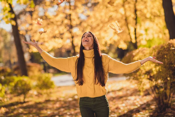 Zdjęcie pozytywnej wesołej dziewczyny turysta mają ekscytujące jesienny odpoczynek relaks wakacje na świeżym powietrzu trzymać rękę złapać wiatr mucha upadek klon liście nosić dzianiny sweter sweter sweter pullover — Zdjęcie stockowe