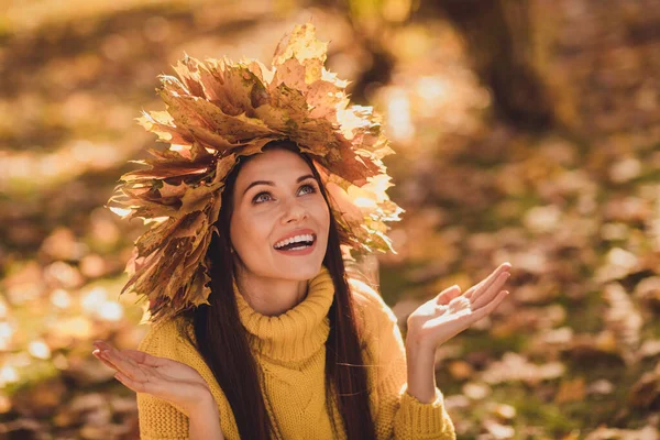 Witam jesień. Pozytywne podekscytowany dziewczyna spojrzeć w górę zdumiewający ciepły słoneczny jesień pogoda mają las na zewnątrz odpoczynek zrelaksować nosić klon liście dzianiny sweter sweter sweter pullover — Zdjęcie stockowe