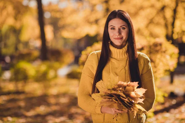 Fénykép elég szép lány jól néz ki a kamera juharfalevél csokor van ősz park erdő fotó munkamenet kopás szezon ruhák — Stock Fotó