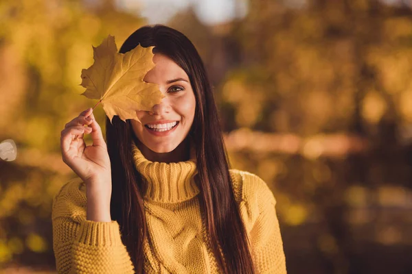 Close up photo of positive cheerful girl enjoy autumn travel fall woodland trip close cover eyes caple leaf wear jumper sweater — стоковое фото