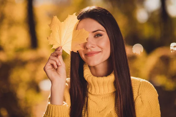 Close up portret wesoły dziewczyna cieszyć podróży odpocząć relaks jesień las gaj blisko pokrywa twarz klon liść nosić sweter pullover — Zdjęcie stockowe