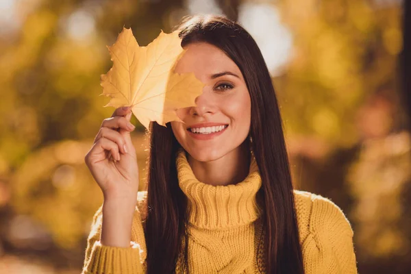 Close up zdjęcie wesołej dziewczyny turysta cieszyć się jesienią relaks park blisko okładka oczy twarz klon żółty martwy liść nosić dzianiny kolor sweter pullover — Zdjęcie stockowe