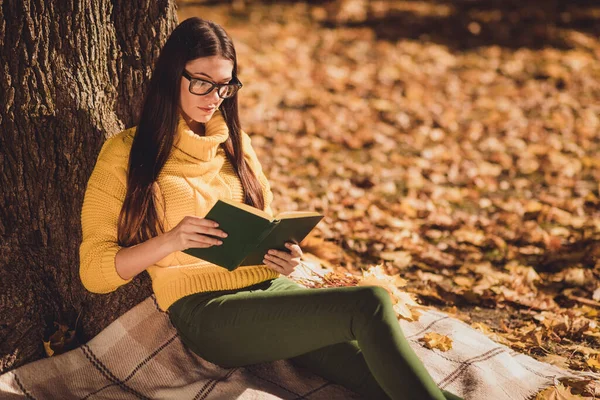 Fénykép fókuszált lány középiskolás diák campus ülni alatt fa kockás takaró ősz park gyep olvasni tankönyv előkészítése vizsga ruha sárga pulóver jumper — Stock Fotó
