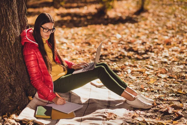 Teljes test profil oldalán fotó okos fókuszált lány piros kabát ül a fa alatt lejtő park ősz gyep kockás kockás kockás takaró tanulmány laptop böngészési információk laptop írni jegyzet könyv — Stock Fotó