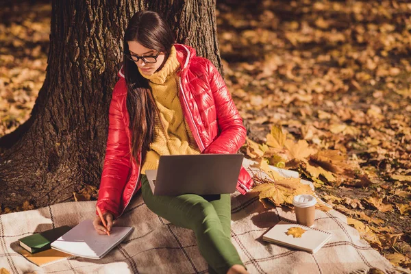 Photo of focused successful girl freelancer sit under tree autumn park trawnik w kratkę koc kratkę praca laptop napisać notatnik zorganizować partnerów spotkanie nosić czerwoną kurtkę — Zdjęcie stockowe