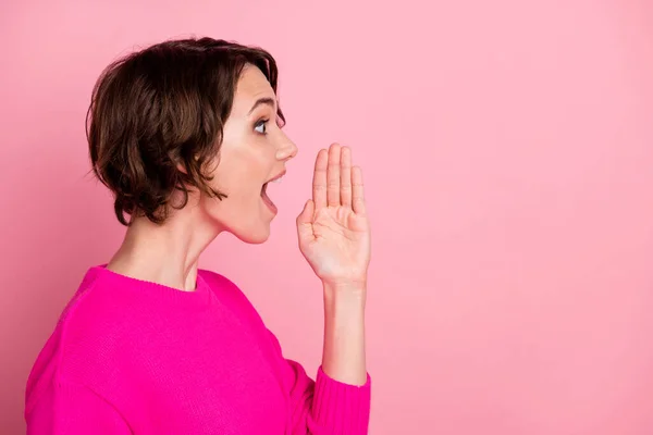 Profil zdjęcie dość podekscytowany zabawna pani trzymać dłoń dłoń dłoń blisko otwarte usta mówi głośno powiedzieć wiadomości paplanina nosić casual sweter pullover odizolowany różowy pastelowy kolor tła — Zdjęcie stockowe