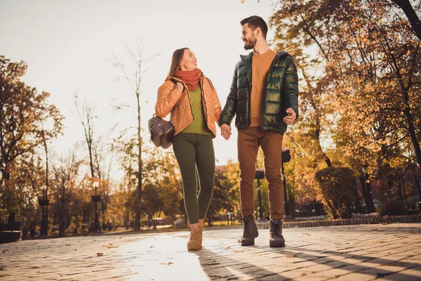 Foto de comprimento total do casal positivo ir no caminho de asfalto queda floresta outubro parque segurar as mãos usar jaquetas mochila — Fotografia de Stock