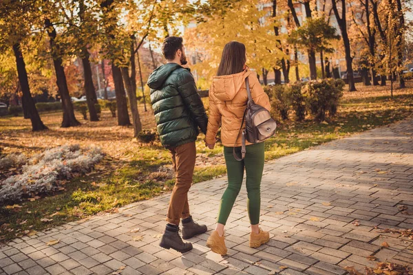 Rückenlehne Ansicht Foto von charmanten jungen Paar gehen Weg halten Hände im Herbst September Park tragen Rucksacktasche — Stockfoto