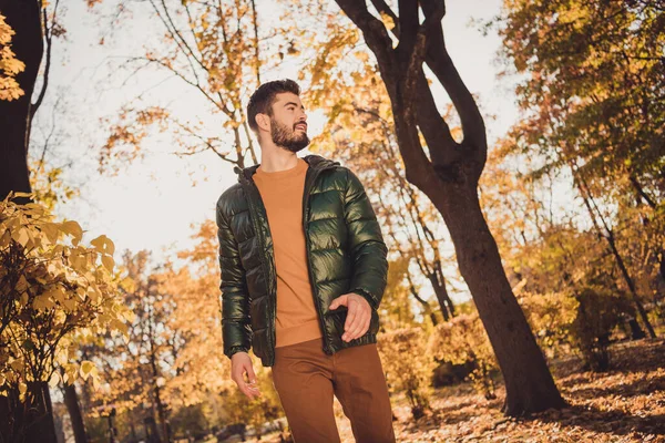 Låg vinkel visa foto av attraktiv positiv kille gå utomhus höst park look slitage säsong ytterrock — Stockfoto