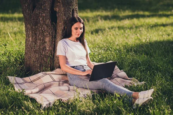 Портрет ее она хорошая привлекательная сфокусированная умная умная умная девушка это эксперт-программист, сидящий на газоне зеленый травяной покрывало одеяло работает удаленно солнечный день электронной коммерции — стоковое фото