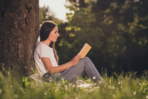 Adatlap side view portré róla she nice attractive pretty focused cheery girl enjoy spending free time fresh air sitting on lawn blanket fátyol paplanhuzat olvasás szerelem történet időtöltés — Stock Fotó