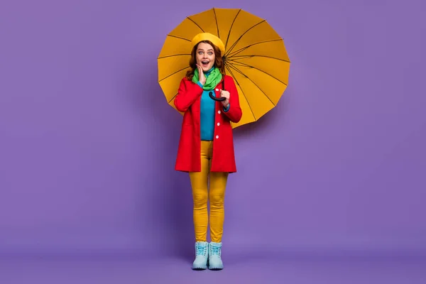 Full length body size view of nice attractive lovely pretty cheerful cheery amazed golvy-haired girl holding umbrella omg great news reaction isolated on violet lila paars pastel color background — Stockfoto