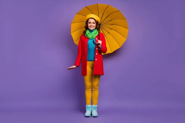 Longitud completa tamaño del cuerpo vista de bonito atractivo encantador bastante de moda alegre alegre modesto ondulado de pelo chica sosteniendo paraguas posando aislado sobre lila violeta púrpura pastel color fondo —  Fotos de Stock