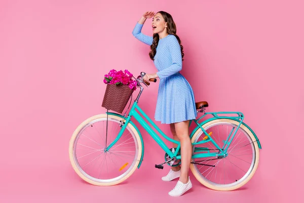 Pełna długość ciała rozmiar profil boczny widok jej atrakcyjne wesołe faliste włosy pani jazda na rowerze noszenie smart casual poszukiwania sposób podróży rout odizolowany różowy pastel kolor tło — Zdjęcie stockowe