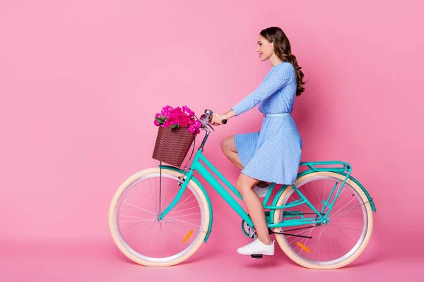 全长体形侧面看她迷人的漂亮漂亮欢快的波浪式女园艺师骑自行车，头戴智能休闲装递送单孤立的粉色彩色背景 — 图库照片
