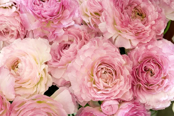 Big Bunch Fresh Light Pink Roses Bouquete Close Texture Background — Stock Photo, Image