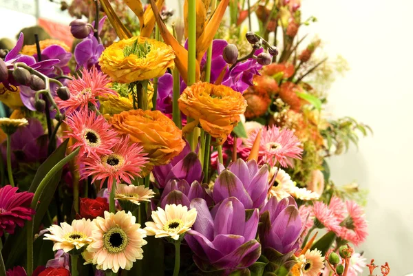 Protea, gerberas, orkide ve buket diğer egzotik çiçekler