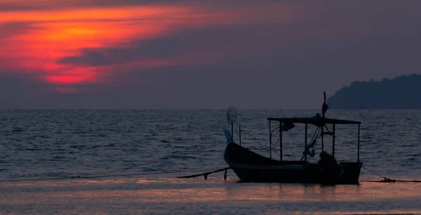 Beyaz zemin üzerinde üç kırmızı soğan