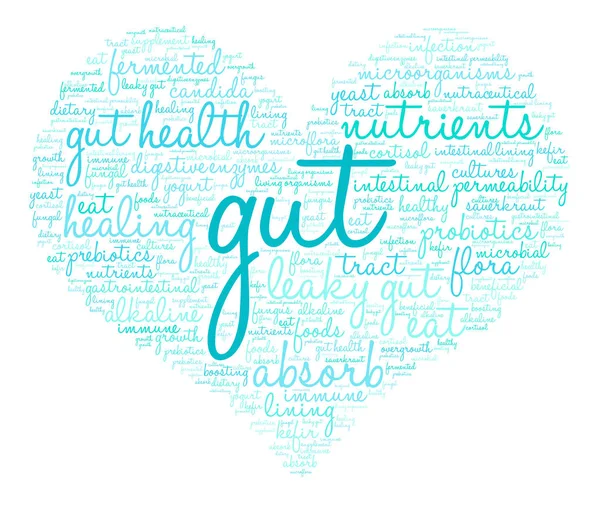 Gut Word Cloud — Stock vektor