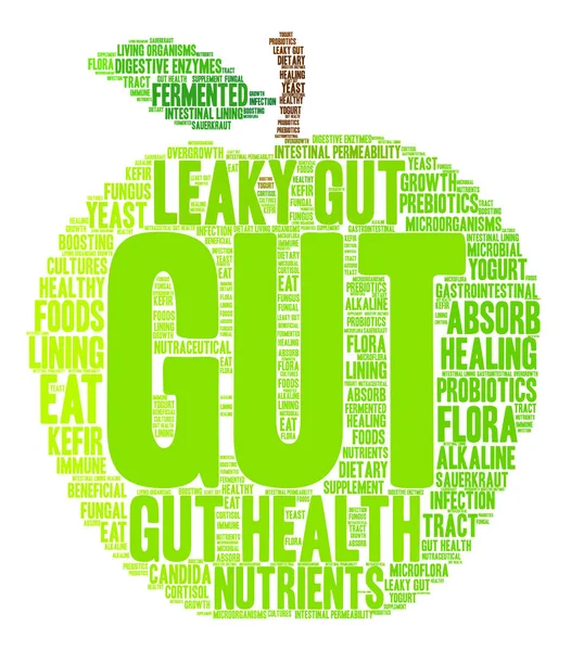 Gut Word Cloud – stockvektor