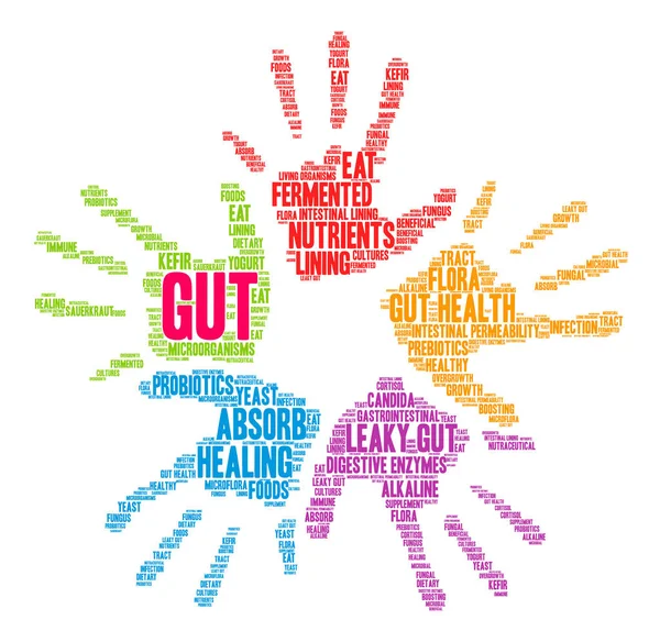 Gut Word Cloud – stockvektor