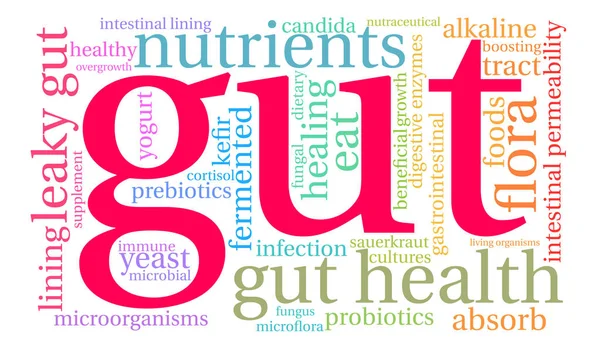 Nuvem do Word do intestino — Vetor de Stock