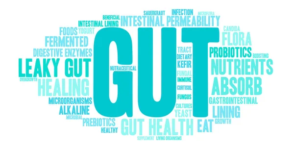 Gut Word Cloud — Stock vektor