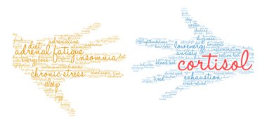 Kortizol kelime bulutu
