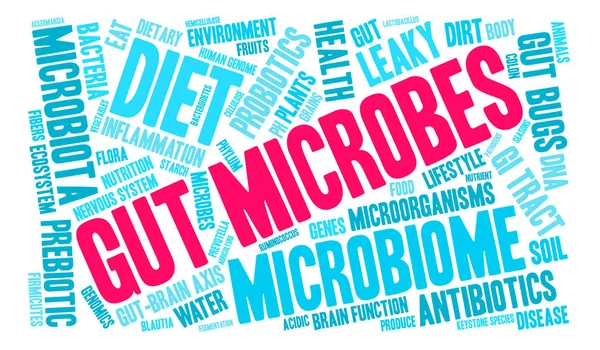 Microbios intestinales Word Cloud — Archivo Imágenes Vectoriales