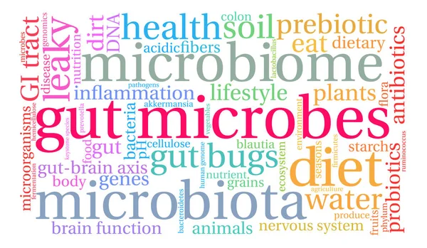 Micróbios intestinais nuvem de palavras —  Vetores de Stock