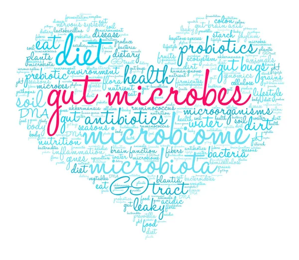 Microbios intestinales Word Cloud — Vector de stock