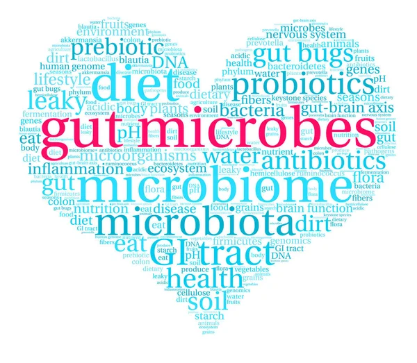 Gut Microbes Word Cloud — Stockvector