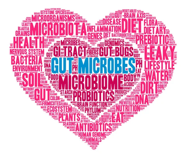 Microbios intestinales Word Cloud — Vector de stock