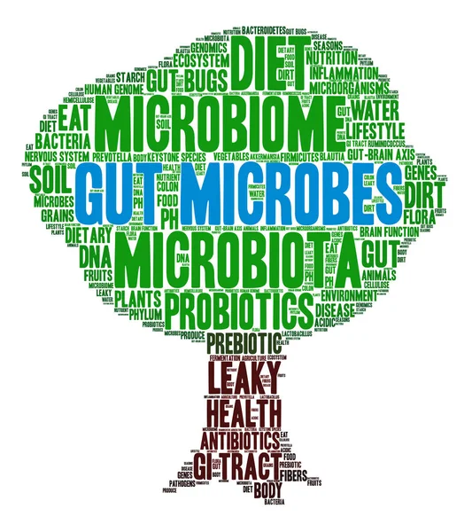 Microbios intestinales Word Cloud — Vector de stock